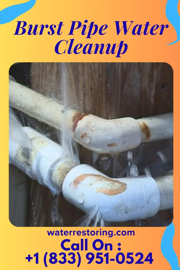 Burst Pipe Water Cleanup in Gloria Glens Park, OH
