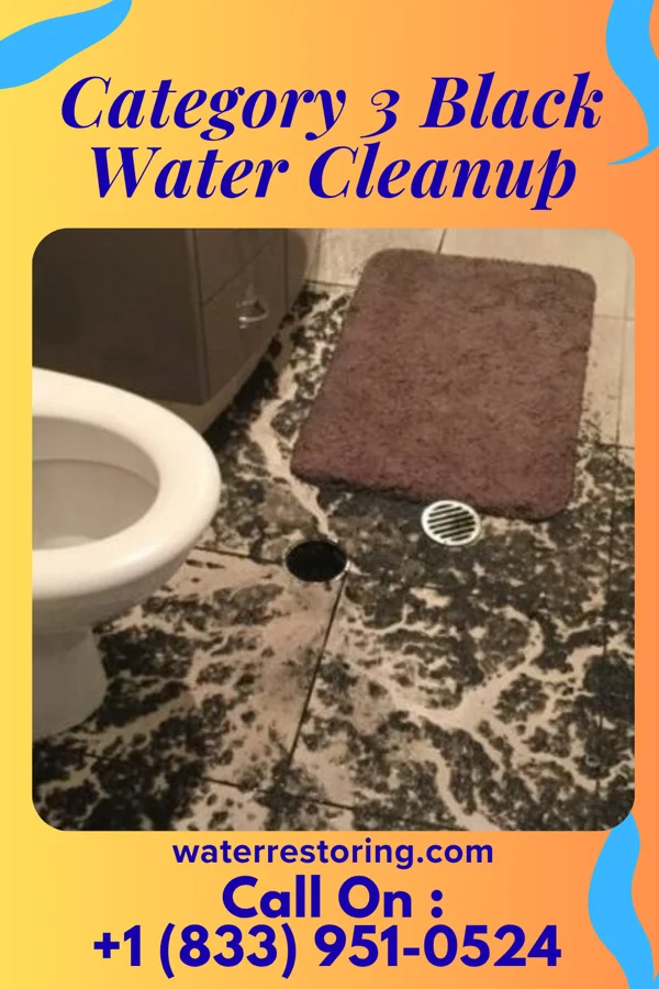 Category 3 Black Water Cleanup in Gloria Glens Park, OH