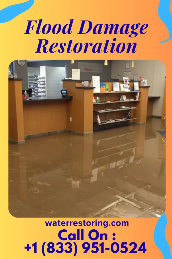 Flood Damage Restoration in Gloria Glens Park, OH