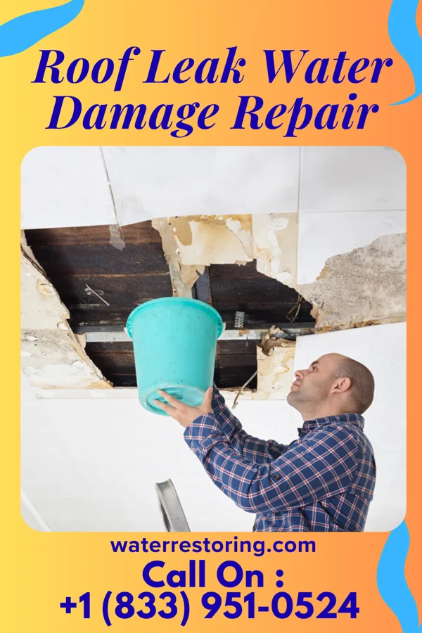 Roof Leak Water Damage Repair in Gloria Glens Park, OH