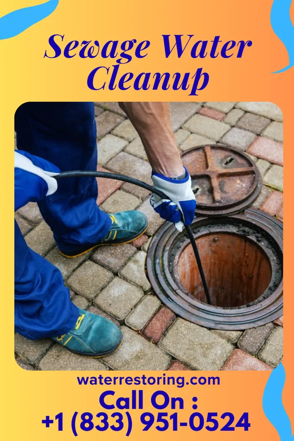 Sewage Water Cleanup in Gloria Glens Park, OH