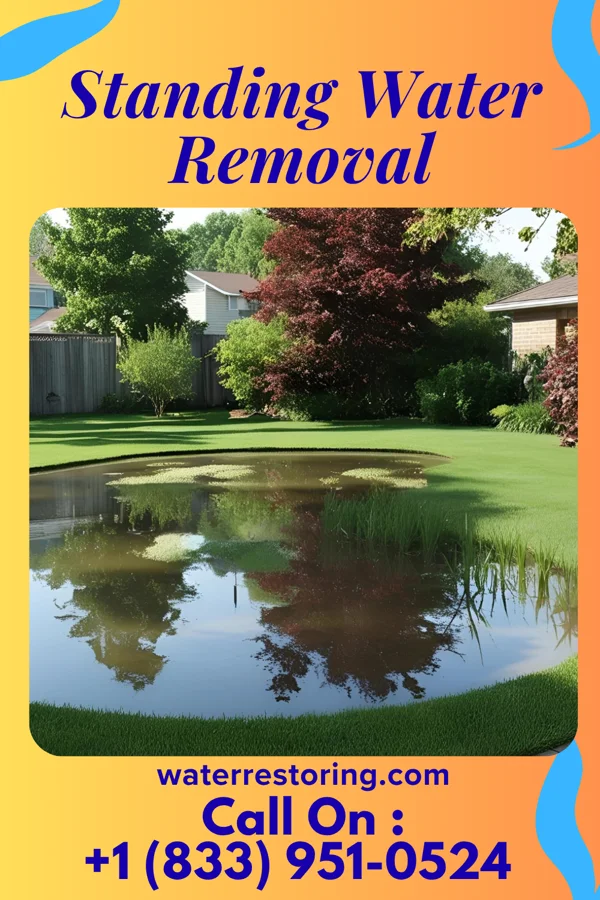 Standing Water Removal in Gloria Glens Park, OH
